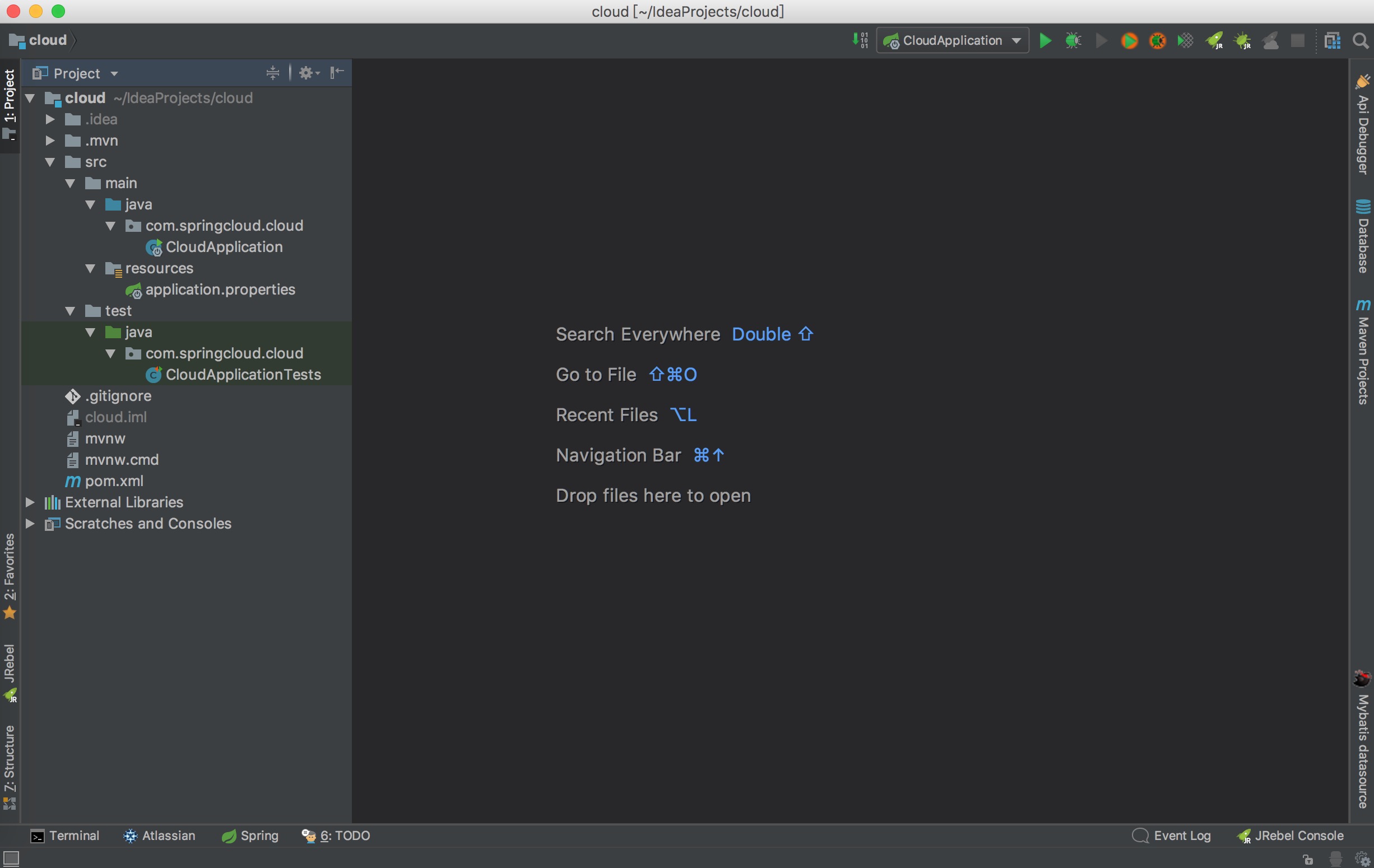 idea创建项目 placeholder