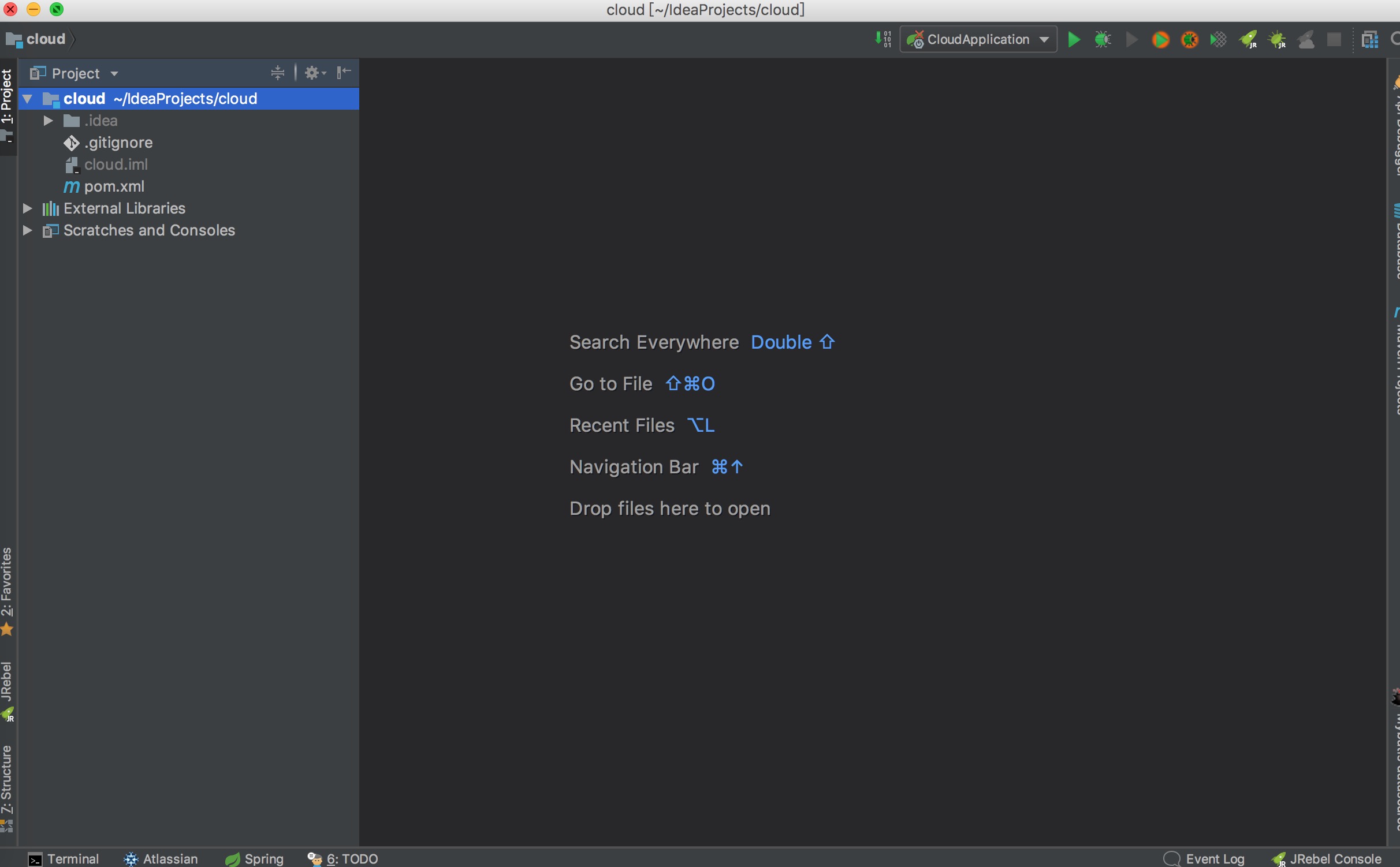 idea创建项目 placeholder